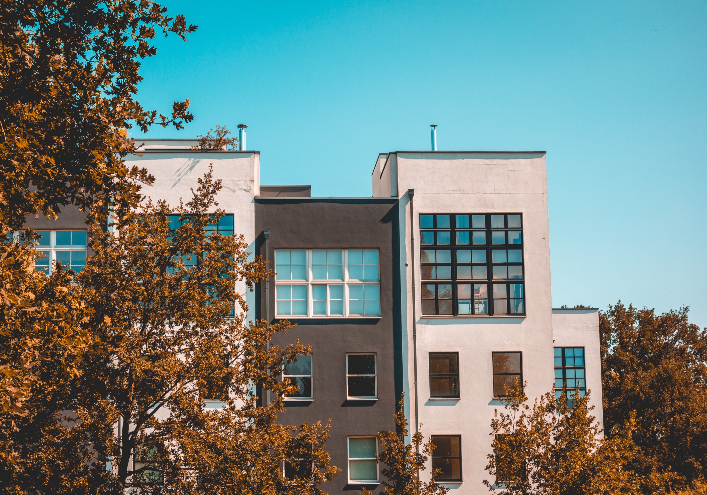 Maisons contemporaines en rangée sous des couleurs d'automne